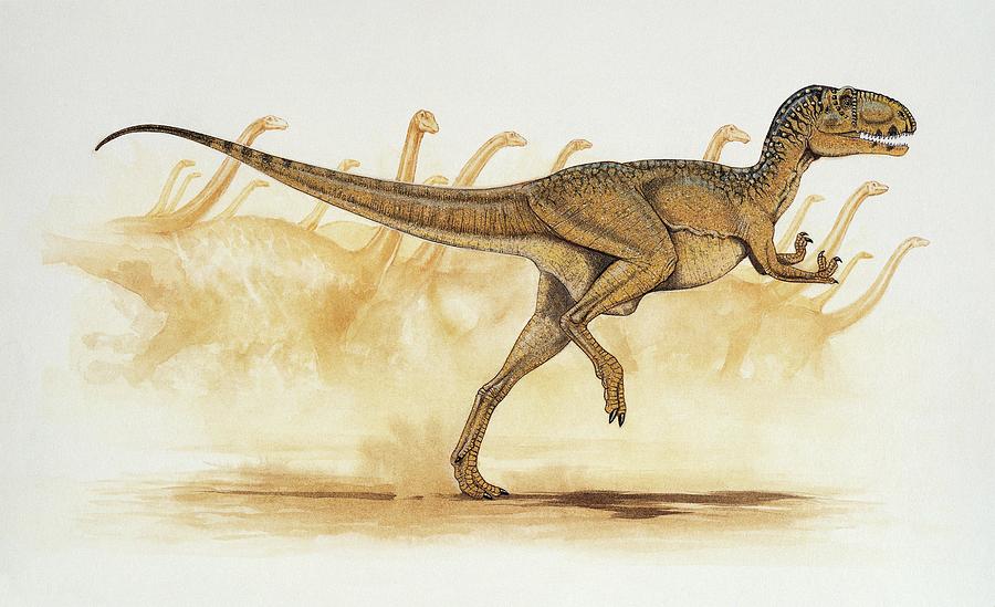 Abelisaurus Dinosaur Photograph by Deagostini/uig/science Photo Library