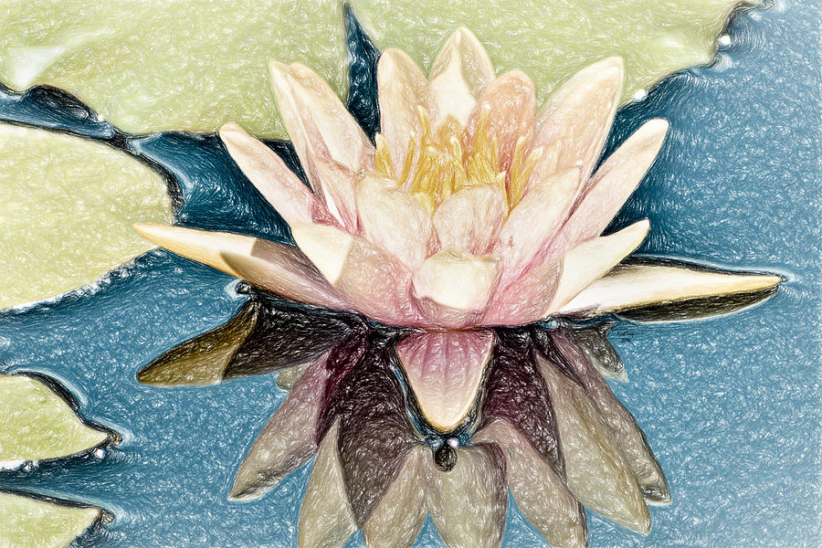 Abigails Water Lily Mixed Media by Trish Tritz