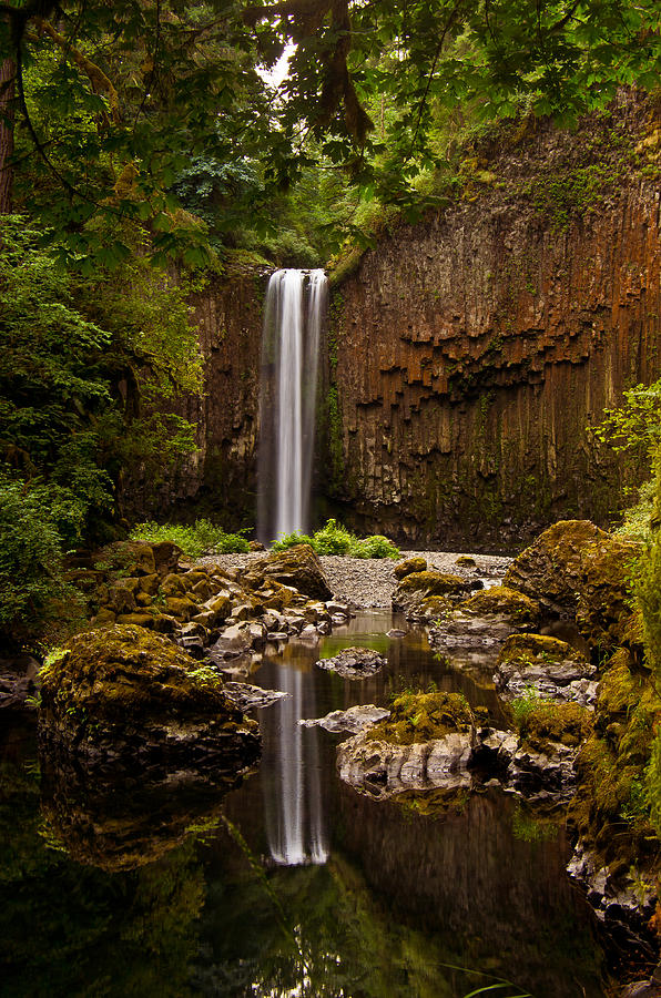 Abiqua Falls reflection Photograph by Ulrich Burkhalter