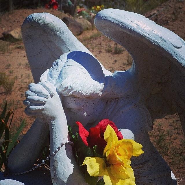 Flower Photograph - Abiquiu Cemetery by Gia Marie Houck