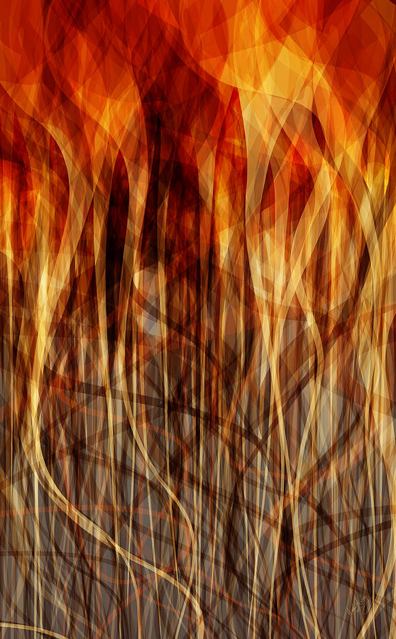 Ablaze Digital Art by Matthew Lindley