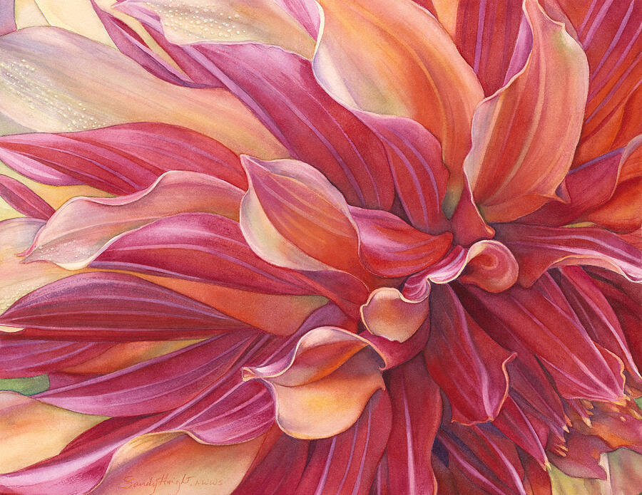 Flower Painting - Ablaze by Sandy Haight
