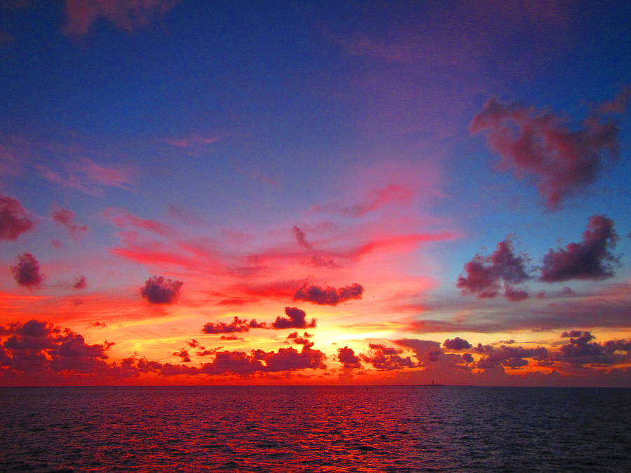 Sunset Photograph - Able by Capt  Pat  Moran