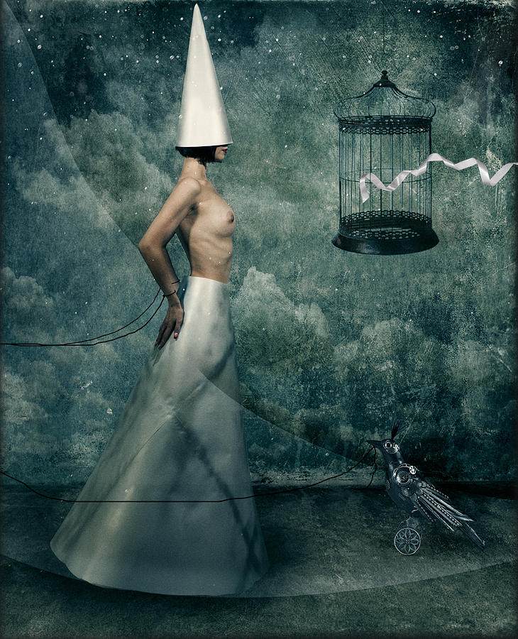 Nude Photograph - About Freedom Desires by Svetlana Melik-nubarova