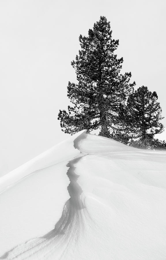 Winter Photograph - About The Snow And Forms by Rodrigo N??ez Buj