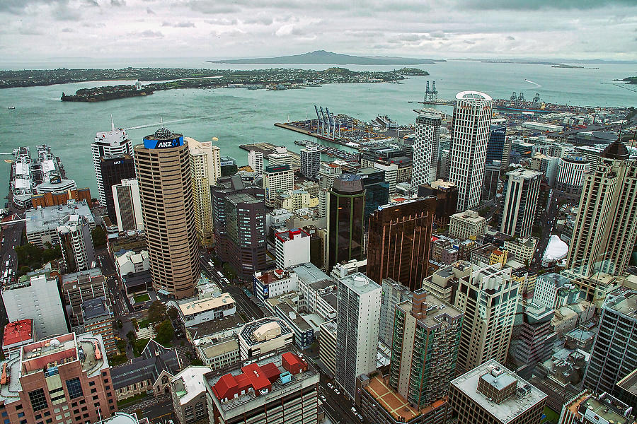 Above Auckland - New Zealand Photograph by Stuart Litoff