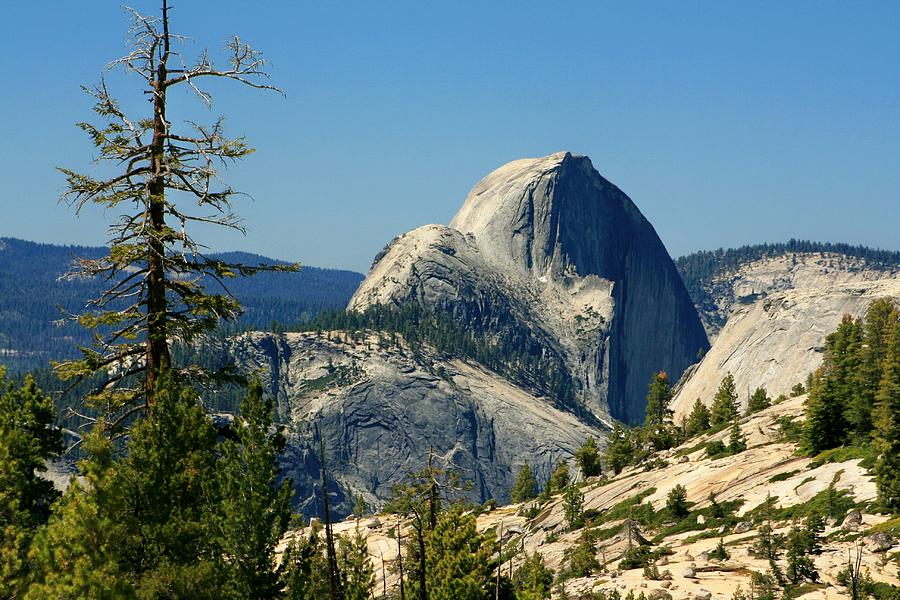 Above Half Dome Photograph by Douglas Miller
