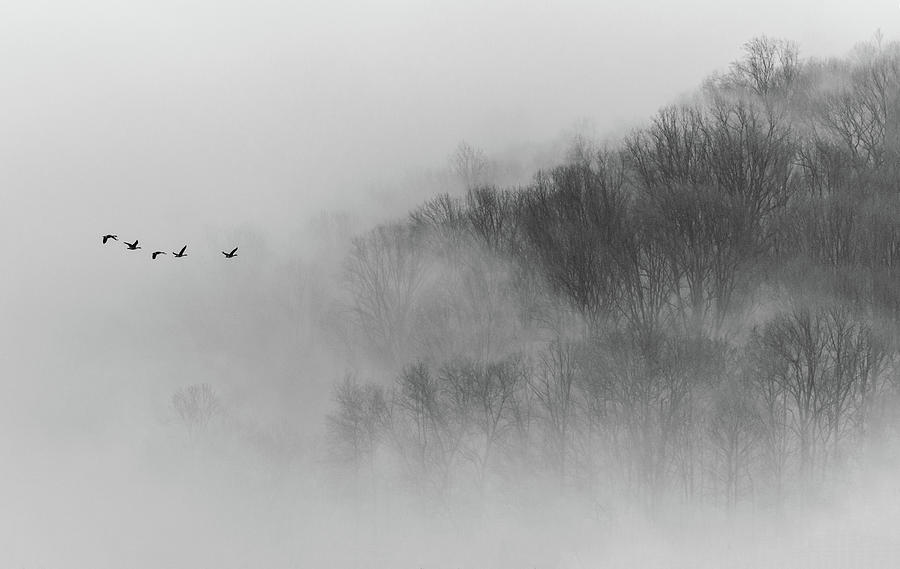Spring Photograph - Above Mist by ??????? / Austin