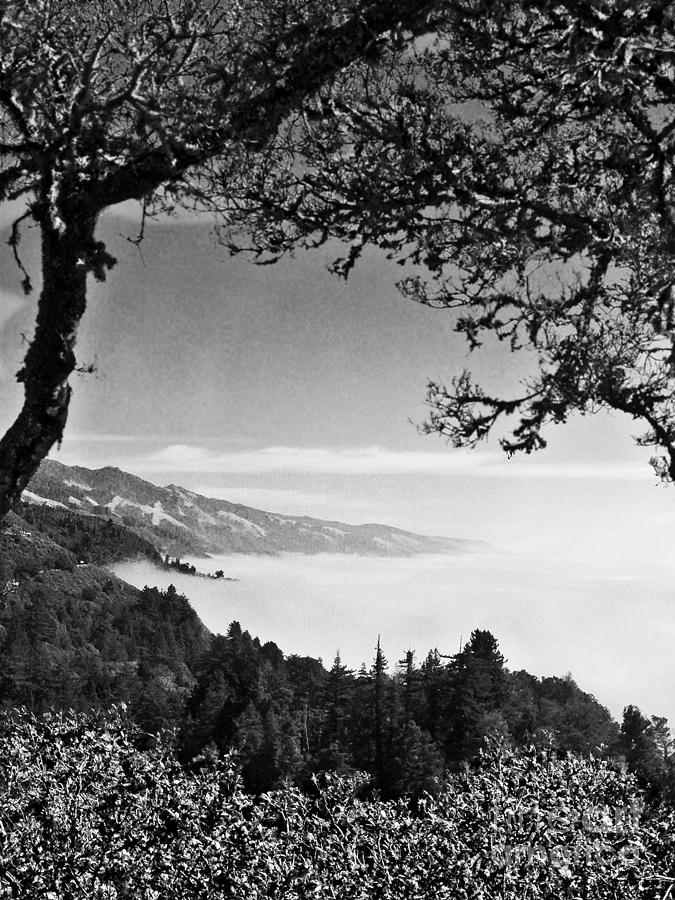 Above Nepenthe in Big Sur Photograph by Joseph J Stevens