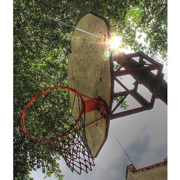 Basketball Photograph - Above The Rim #basketball #sun #sports by Elza Hayen