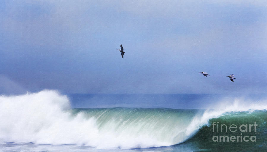 Pelican Digital Art - Above The Surf by David Millenheft