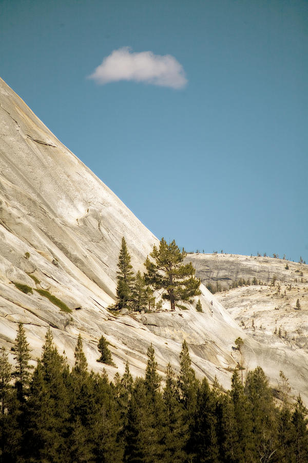 Yosemite National Park Photograph - Above the Tree Line by Bonnie Bruno