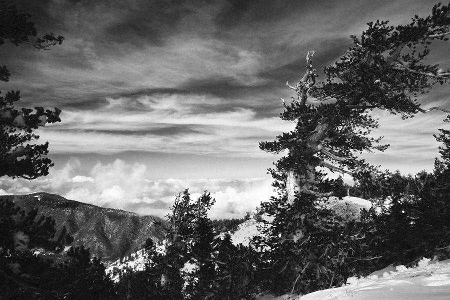Above the Winter Clouds in Mountain Snow Original Black and White Fine Art Photography  Photograph by Jerry Cowart