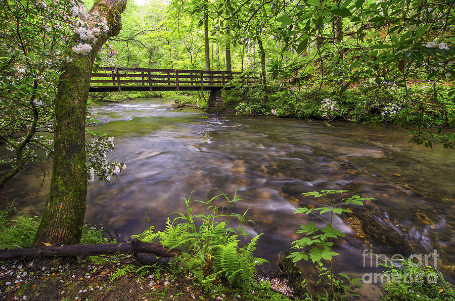 Abrams creek Photograph by Anthony Heflin