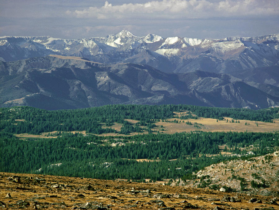 M-A9207-Absaroka Range from US 212 Photograph by Ed  Cooper Photography