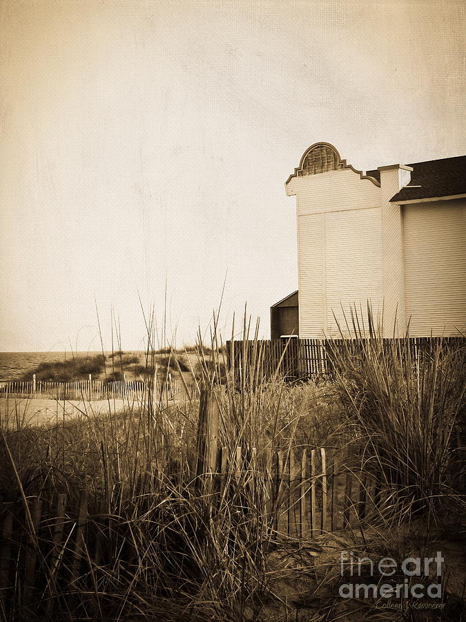 Absence of Noise in Sepia Photograph by Colleen Kammerer