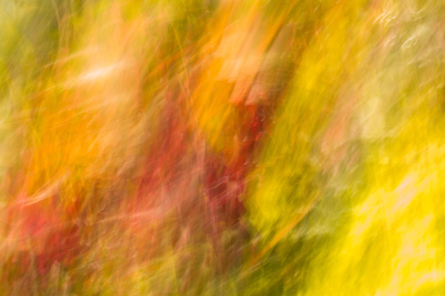 Abstract 10 Photograph by Steve DaPonte
