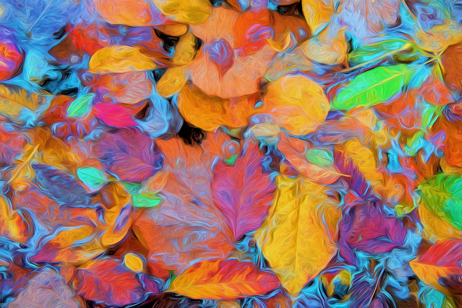 Abstract Autumn Leaves Photograph by Gary Slawsky