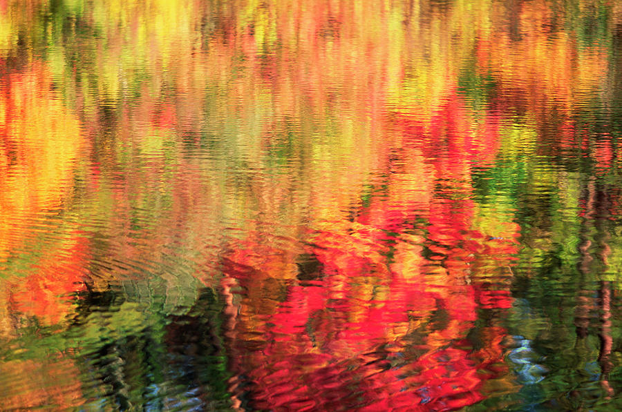 Abstract Autumn Ripple Photograph by Ooyoo