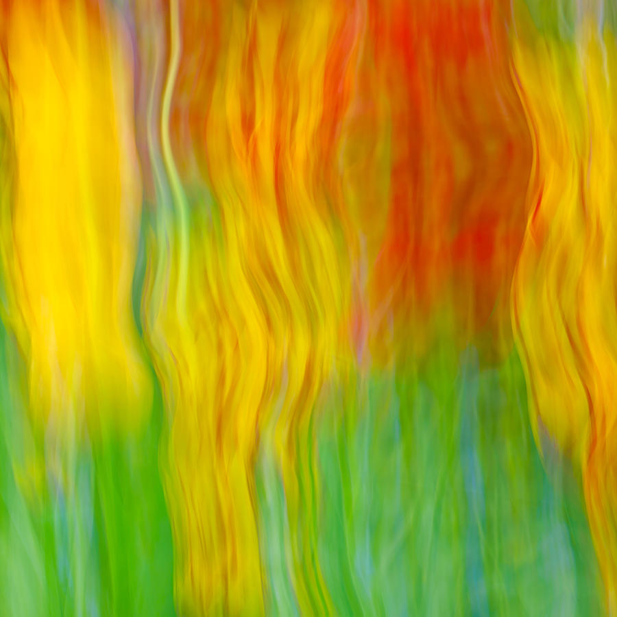 Abstract Background - Tulips Photograph by Chevy Fleet