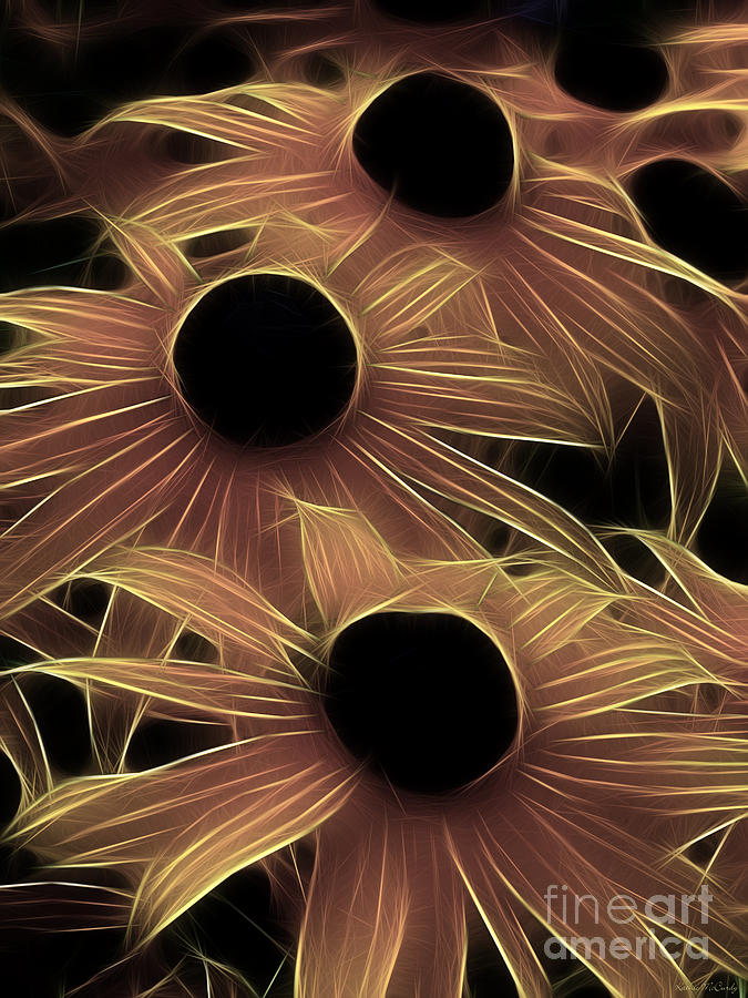 Abstract Black Eyed Susans Photograph by Kathie McCurdy
