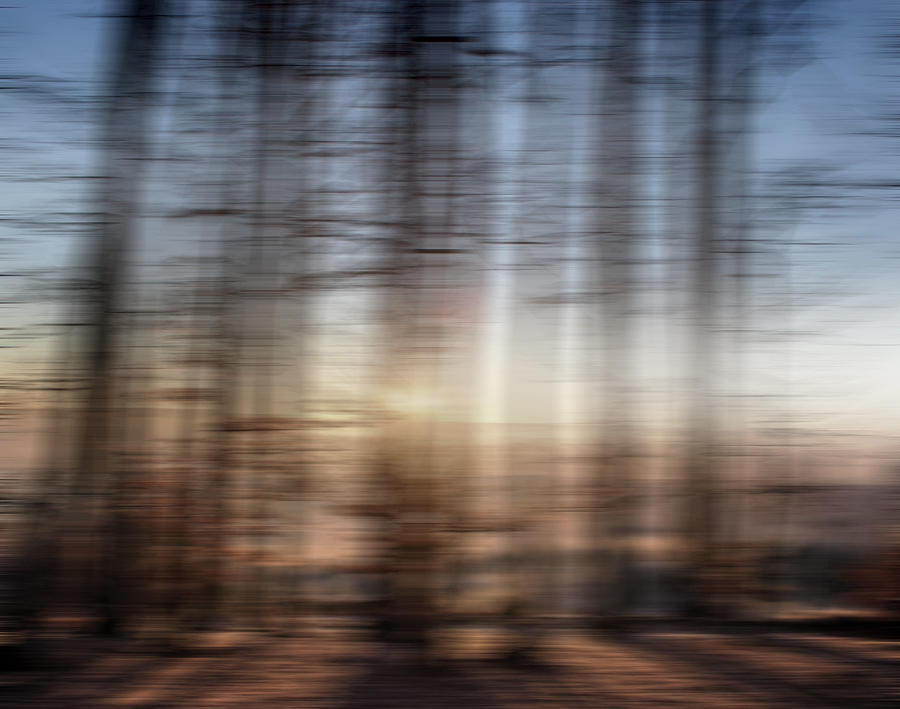 Abstract Blurred Motion Forest Photograph by Ikon Ikon Images