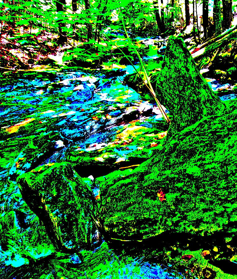 Nature Photograph - Abstract Brook Bits 56 by George Ramos