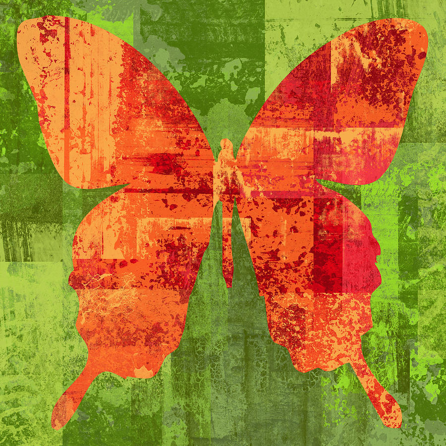 Butterfly Digital Art - Abstract Butterfly by David G Paul