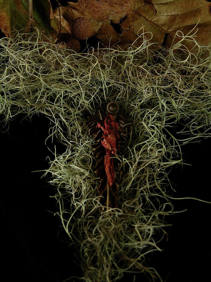 Abstract Christmas Manger Photograph by Julianne Felton