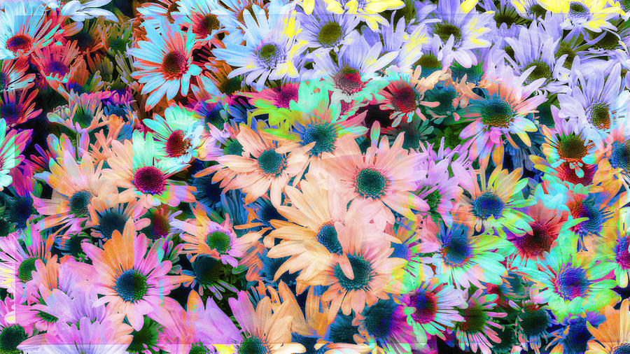 Abstract Colored Flowers Photograph by Susan Stone