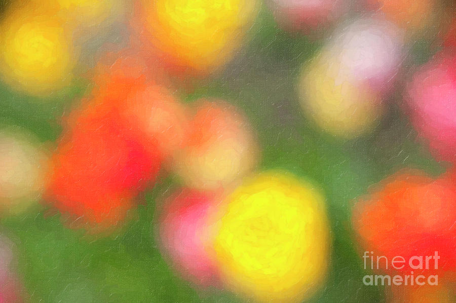 Abstract Colorful Tulips Photograph by Linda Matlow