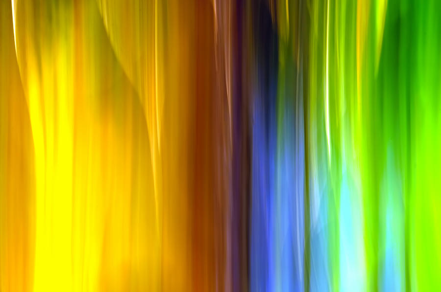 Abstract Colours And Light Photograph