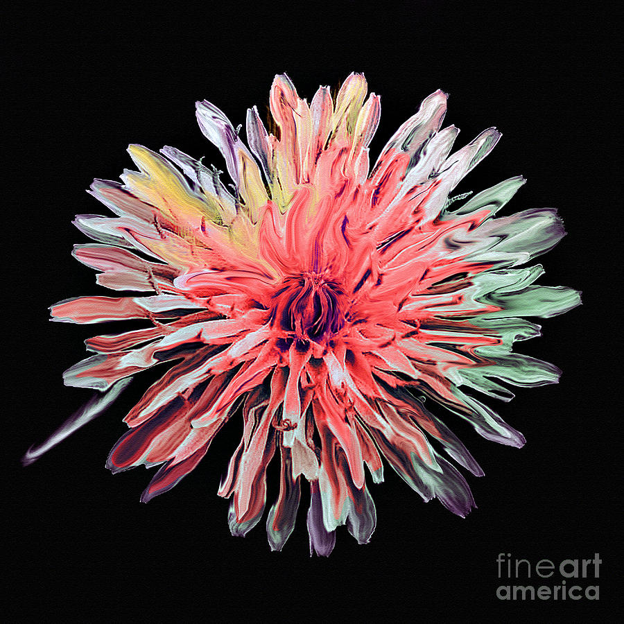 Abstract Photograph - Abstract Chrysanthemum by Bob and Nadine Johnston