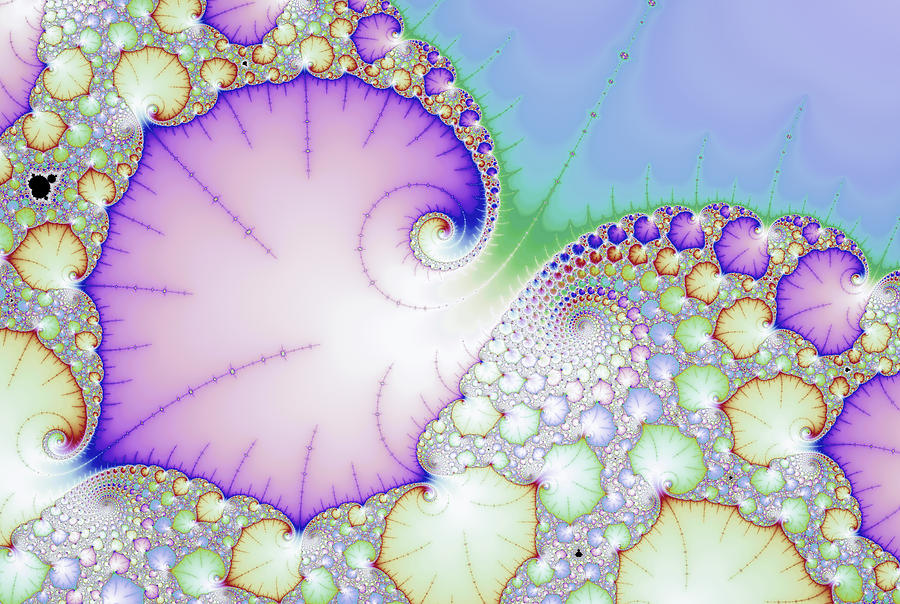 Abstract digital art floral design with leaves and spirals Digital Art by Matthias Hauser