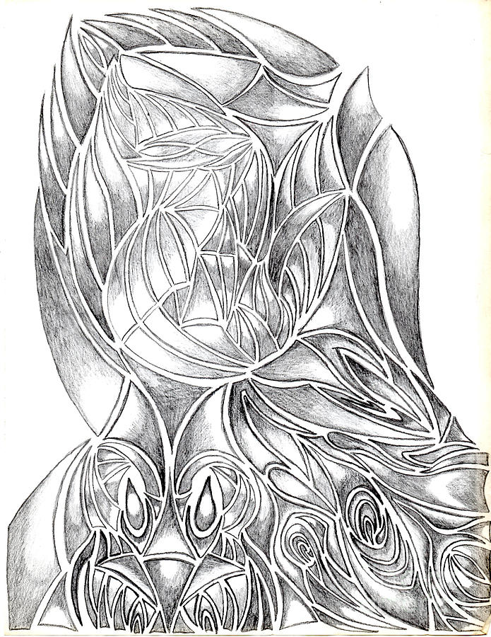 Abstract Drawing Owl Hands Roses Drawing