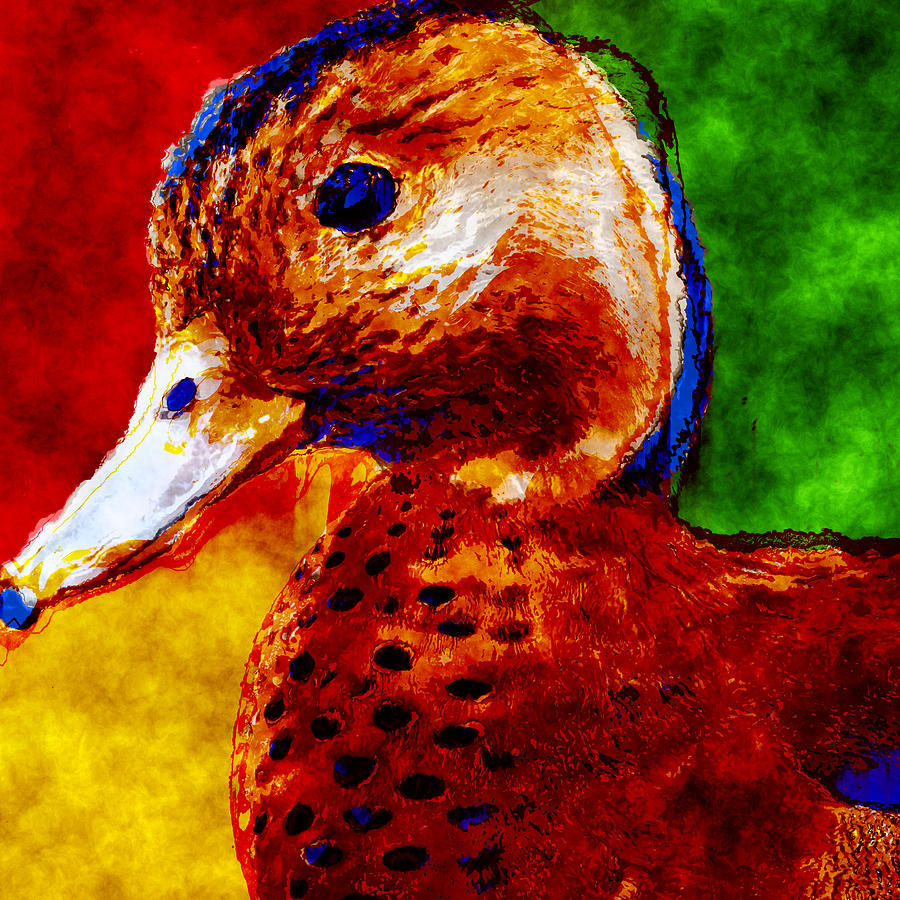 Abstract Duck Digital Art by David G Paul