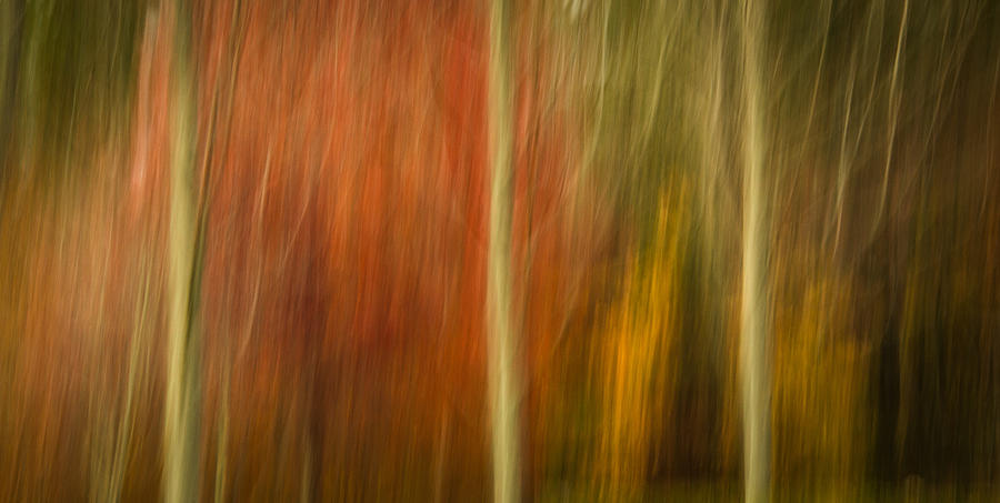 Abstract Fall 15 Photograph by Joye Ardyn Durham