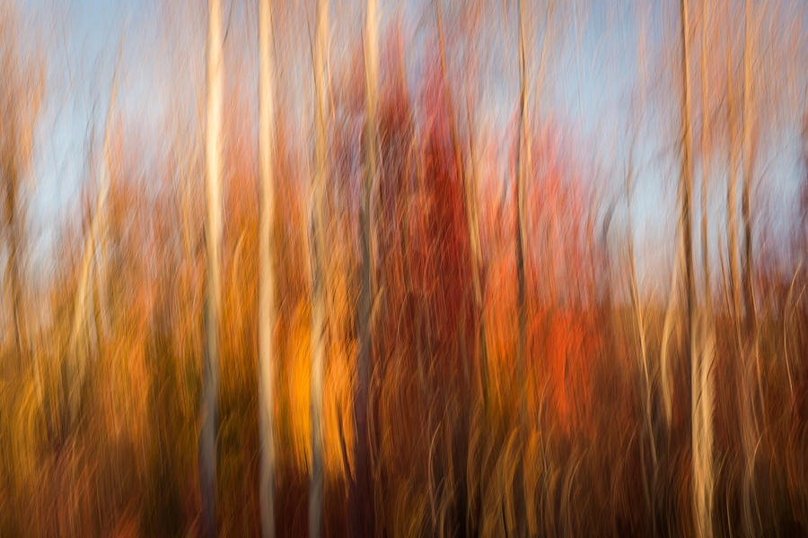 Abstract Fall 4 Photograph by Joye Ardyn Durham
