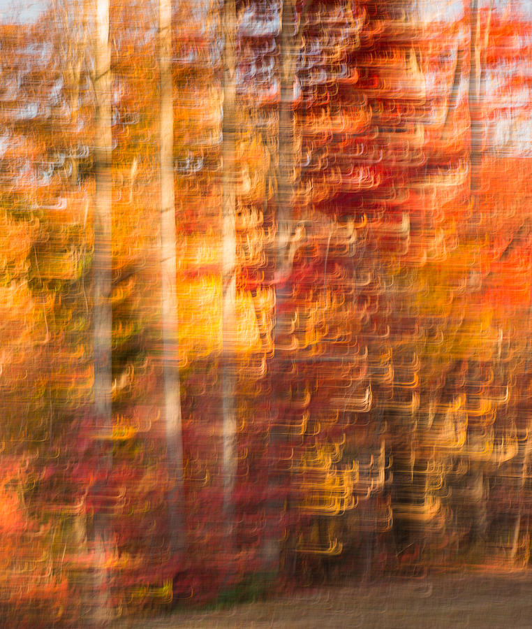 Abstract Fall 5 Photograph by Joye Ardyn Durham