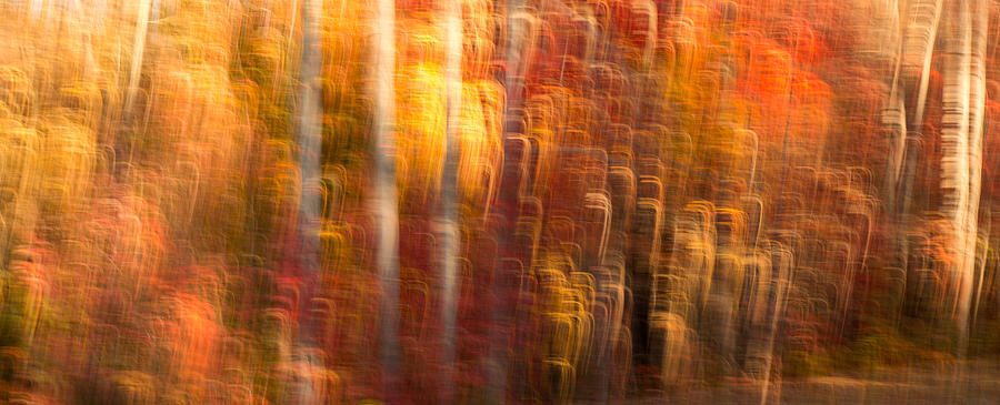 Abstract Fall 7 Photograph by Joye Ardyn Durham