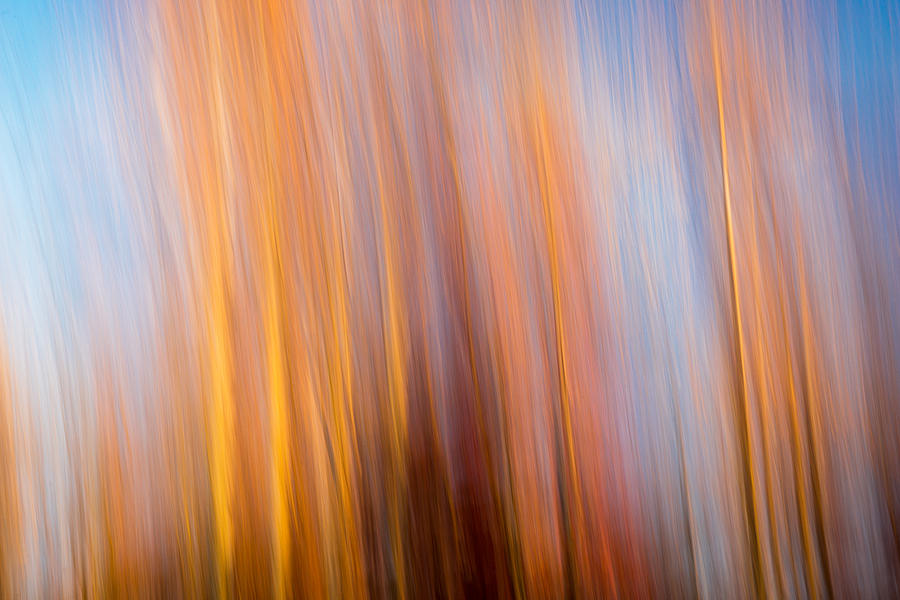 Abstract Fall 8 Photograph by Joye Ardyn Durham