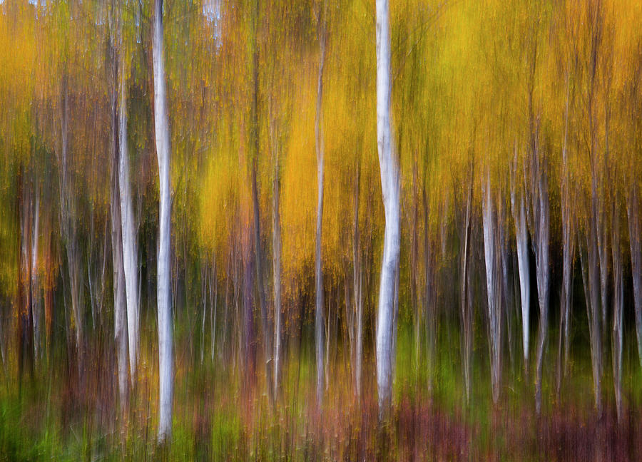 Abstract Photograph - Abstract Fall by Andreas Christensen