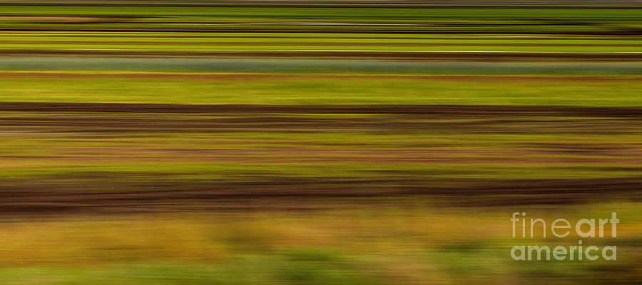 Abstract - Fields at harvest time Photograph by Les Palenik