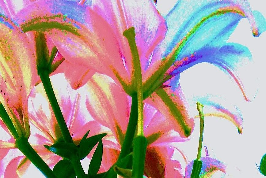 Floral Photograph - Abstract Floral by Allen Meyer