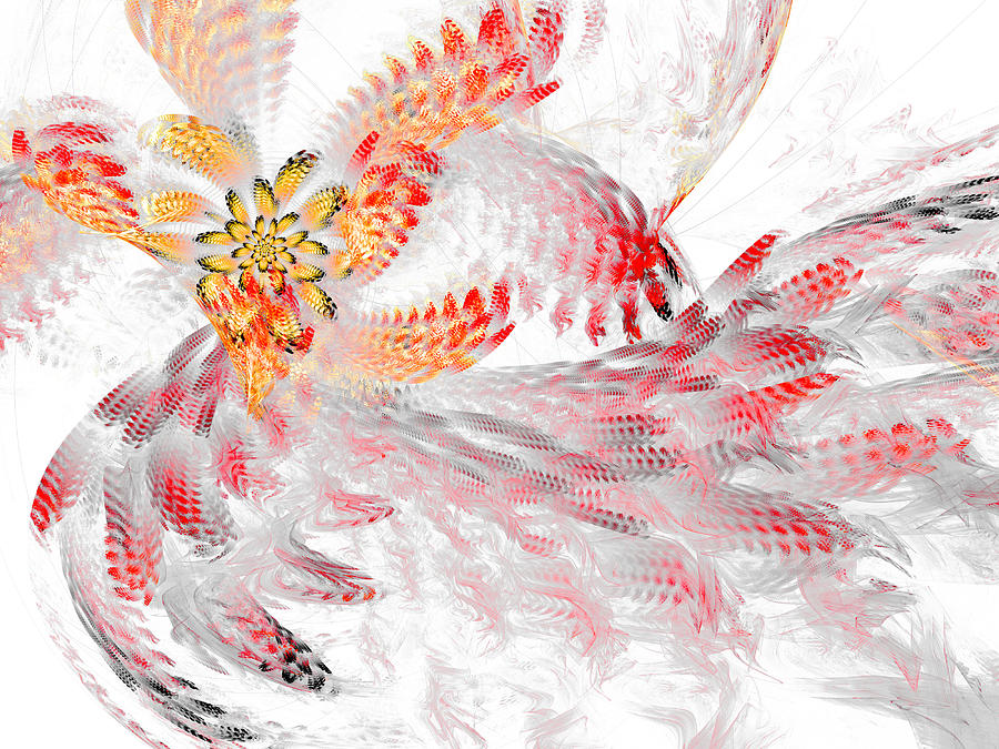 Abstract Floral design on White Digital Art by Timothy Johnson