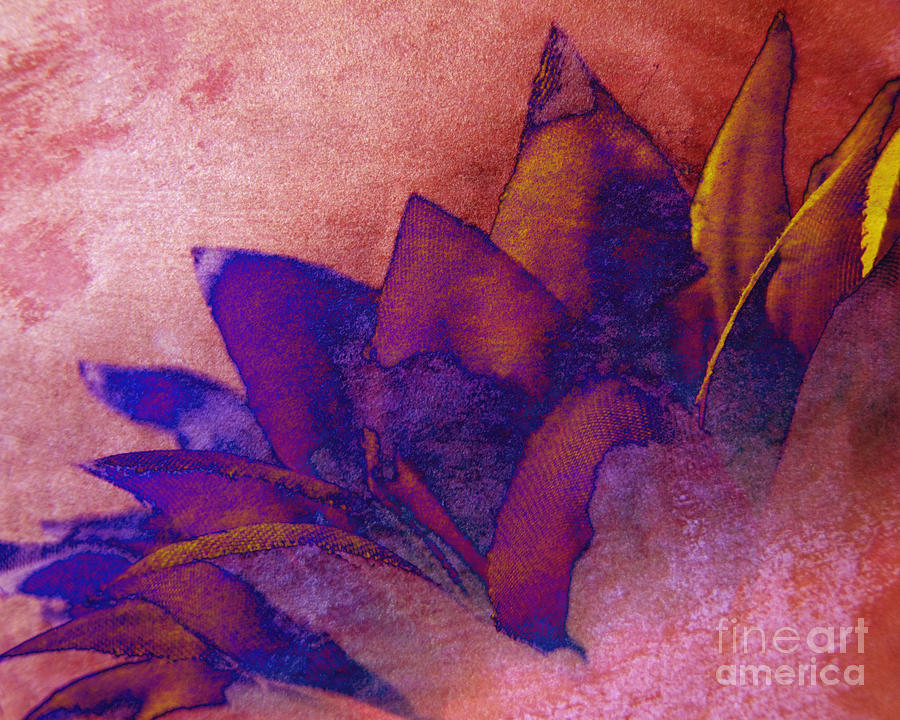 Abstract Flower  Photograph by Ann Powell