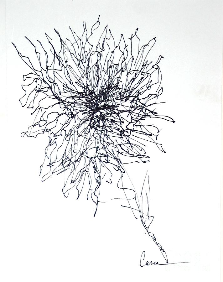Abstract Flower Line Drawing Drawing by Lisa Carroccio