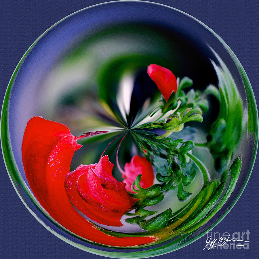 Abstract Photograph - Abstract Flower Orb II by Jeff McJunkin