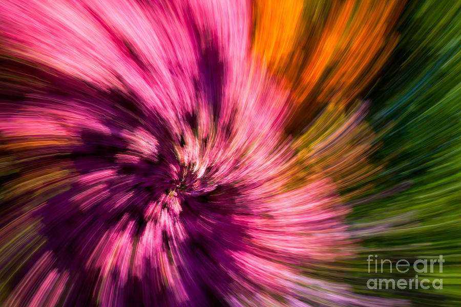 Abstract Photograph - Abstract Flower Spiral by Sarah Cheriton-Jones