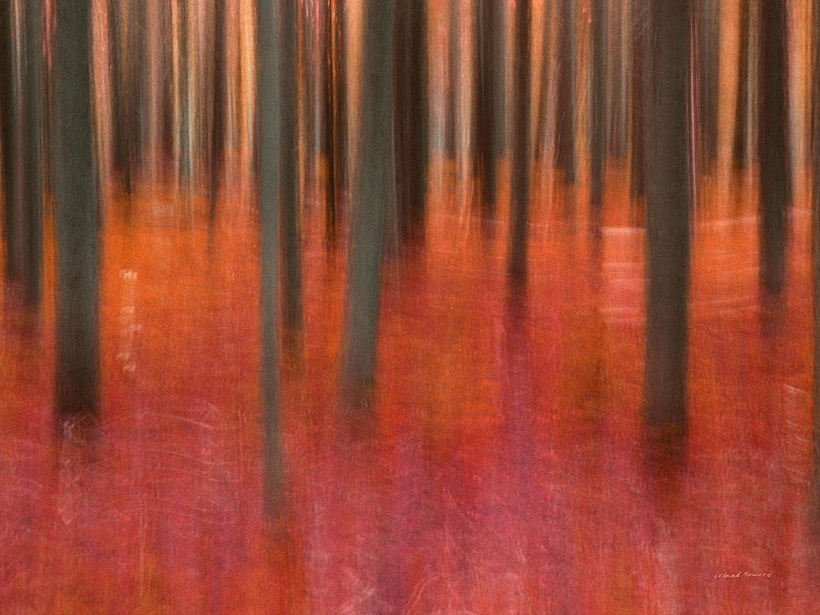 Abstract Forest 2 Mixed Media by Leland D Howard